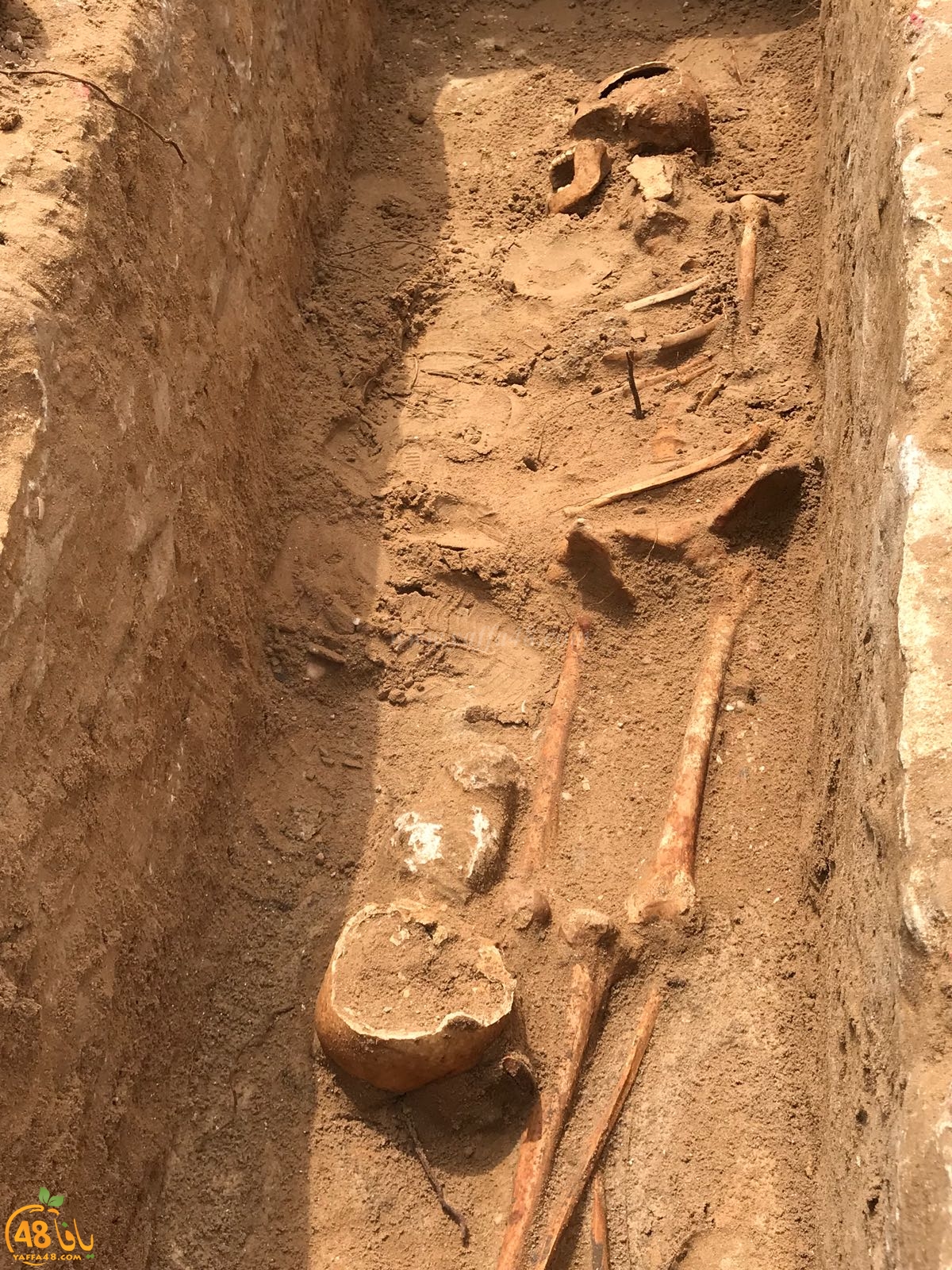 WhatsApp Image 2020-06-17 at 9.30.49 AM (1).jpeg.jpg.jpg